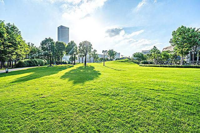 日照市区今年计划建设121处公园绿地