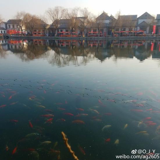@O_J_Y__:游鱼
