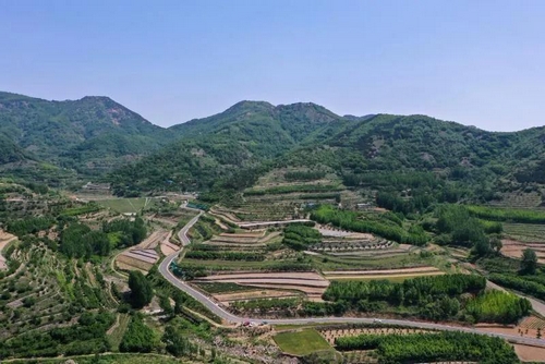 ▲齐鲁风情5号路北山段(摄影:李磊)