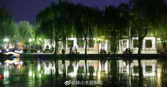 林小木爱照相:夜色垂柳