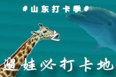 山东打卡季之遛娃比打卡地