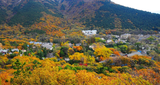 △ 崂山太清游览区