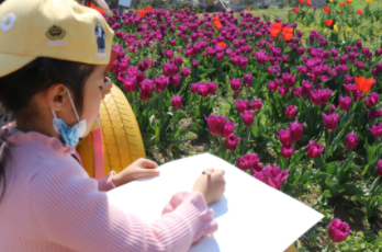书法展演