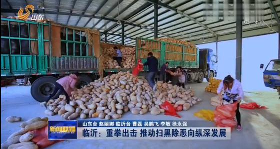 《山东新闻联播》报道沂南扫黑除恶专项斗争工