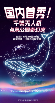 官方海报