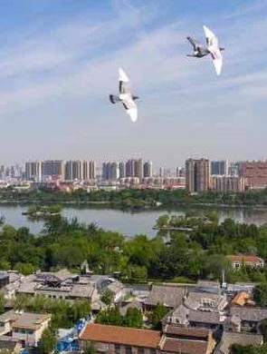 航拍济南大明湖 碧水映天蓝