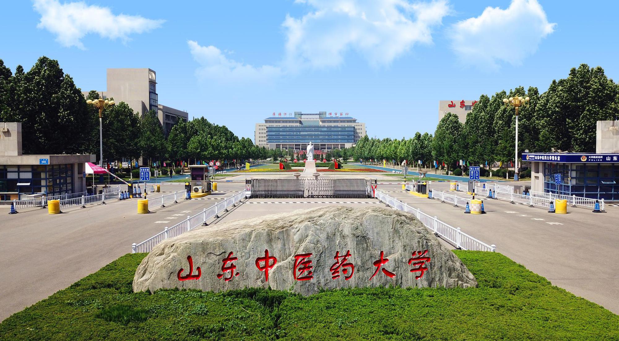 山中医名片