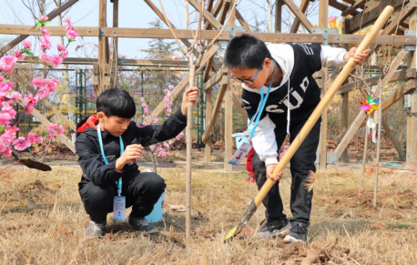 我是“种树小能手”，加油，加油，加油干！