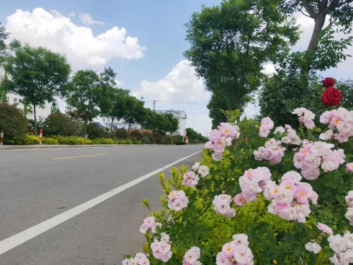 ▲董常路