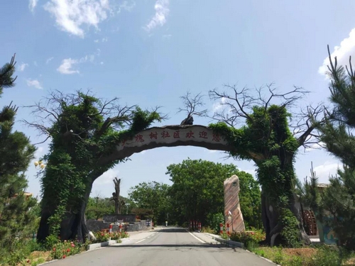 ▲董常路大槐树度假庄园