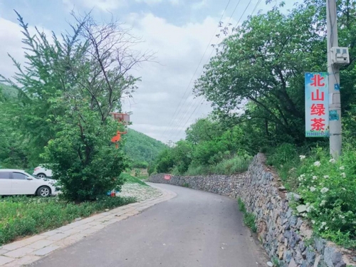 ▲齐鲁风情5号路北山村