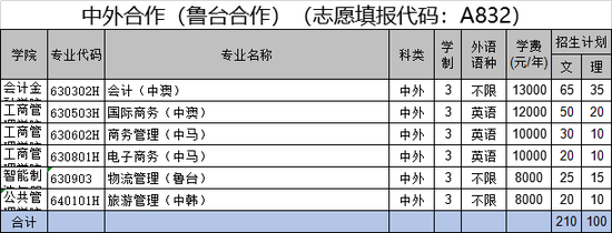 中外合作（鲁台合作）（志愿填报代码：A832）