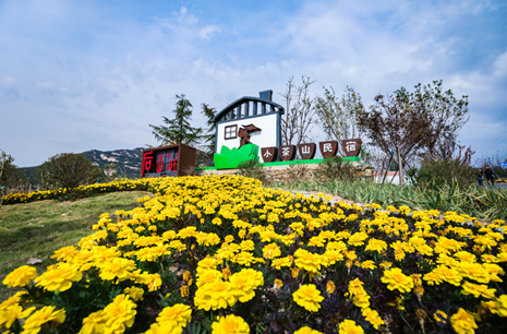 岚山区巨峰镇后山旺村