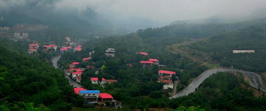 岱南子微：空山新雨后