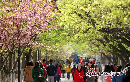 山东师范大学八大景观之登攀拾英