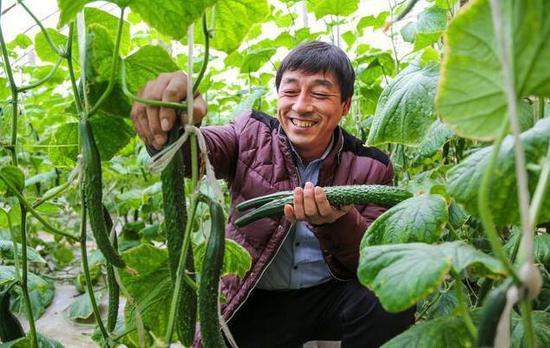 邹平县焦桥镇综合创业服务中心:走向买全国卖