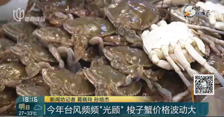 梭子蟹多少钱1公斤 sRFa-hhzsnec1625592.png