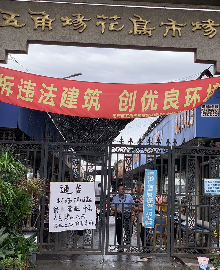 外站是哪里 4e1d-hzmafvn4797617.jpg