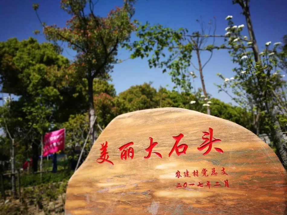 钱圩镇人口_东乡区马圩镇人口