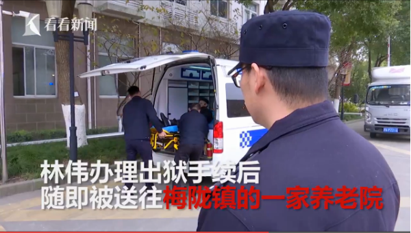 点击图片查看详情 人口余生_人口余生 代猫猫们发帖求助(3)