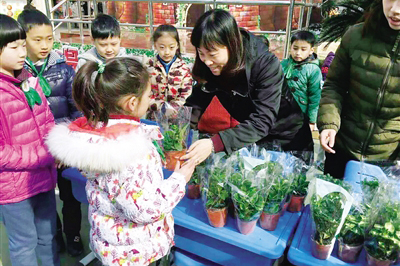 共建绿色大家园废旧电池换盆栽活动开展