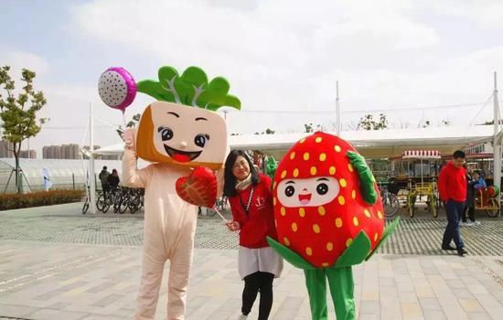 五一假期游上海 70多项精彩文旅活动全指南