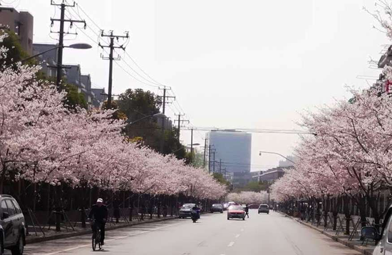 宝山永乐路