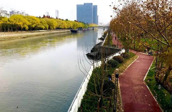 75林地建设工程,共涉及11条市级生态廊道,大治河生态走廊和近郊绿环