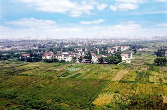  上世纪90年代初的外高桥保税区5号门区域