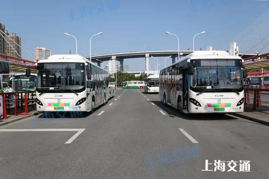 起点站——南浦大桥(沪军营路)站↑