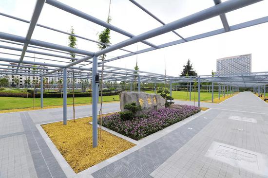 园内精选栽植了牛岛、熊野、阿知等