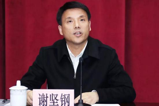 中共杨浦区委书记谢坚钢