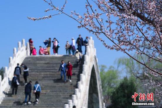 3月22日，北京颐和园内柳树吐绿，山桃花盛放，吸引游客踏春赏花。中新社记者 贾天勇 摄