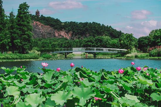 图说:辰山植物园