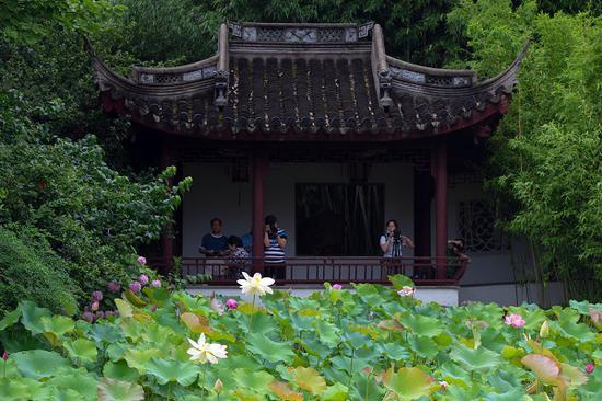 图说：第八届上海荷花睡莲展在古猗园举办 古猗园供图