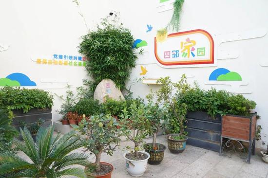 四邻家园门口花卉展示