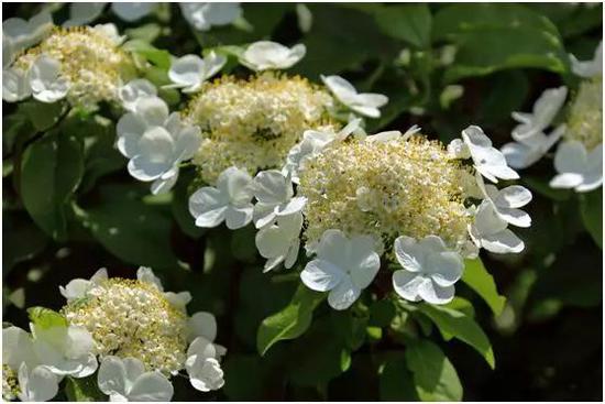 五一假期游上海 70多项精彩文旅活动全指南