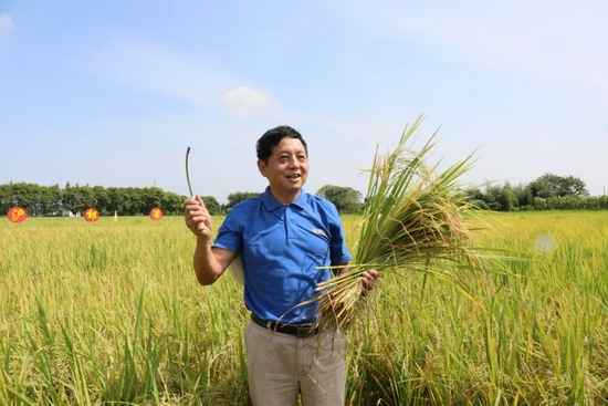 罗利军在“八月香”收割现场