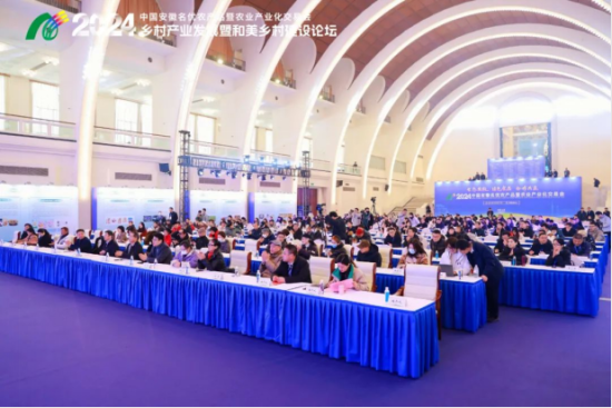 图:会议现场