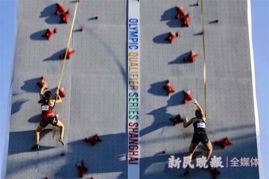 图说:速度攀岩比赛中