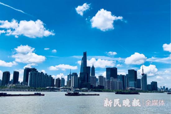 种楠 摄