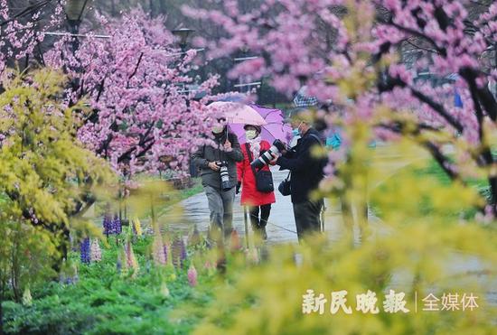 图说：不少游客带着长枪短炮前来赏景拍花 新民晚报记者 周馨 摄