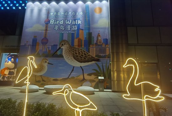 香港广场外设置了一组以东滩明星鸟类为原型的艺术造型灯。 陈玺撼摄