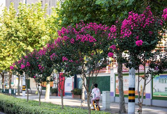 图说:普陀区新村路