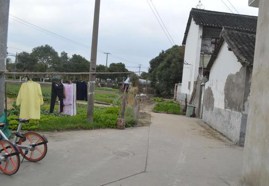 马桥镇 人口_人口老龄化