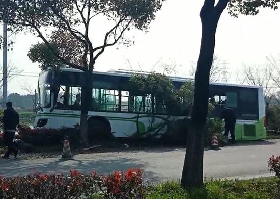 朱钱卫线公交车撞上行道树 图片来源:新民晚报
