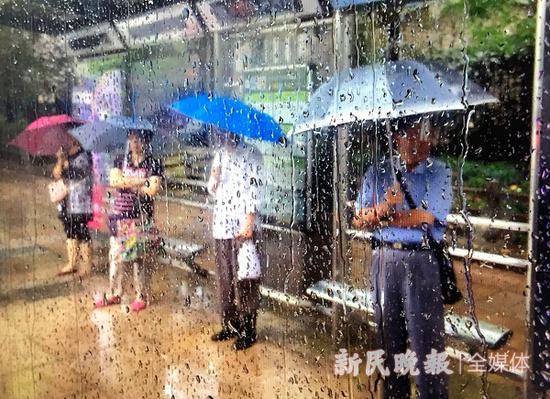 图说:清早雨中,公交车站台上就聚集了不少候车人 种楠 摄