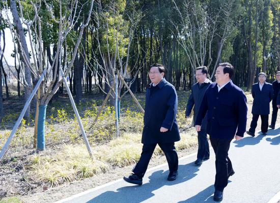 在望园路中央公园森林大道察看海绵城市、公园城市建设