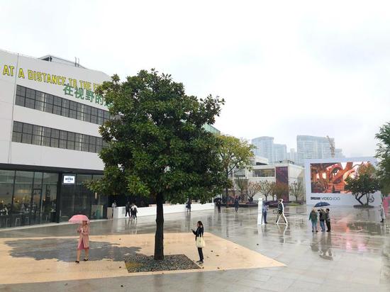 2018西岸艺博会现场。 舒抒 摄