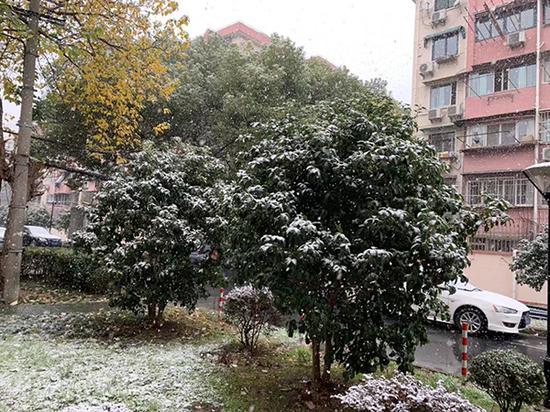 12月8日,上海闵行区龙柏地区,大雪纷飞。 澎湃新闻记者 栾晓娜 图